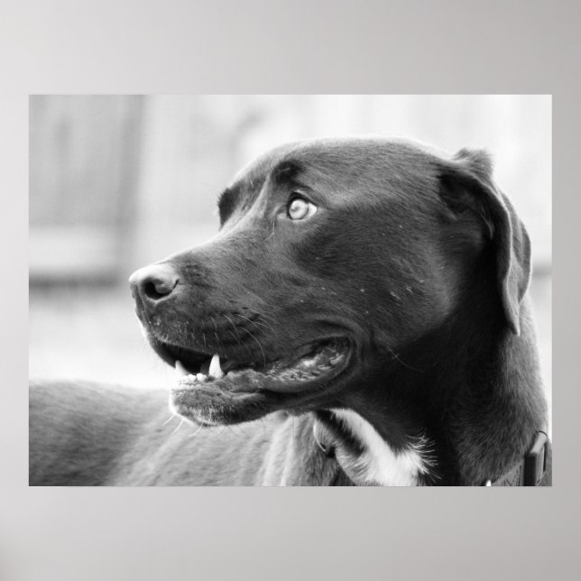 Beachtung Poster (Vorne)