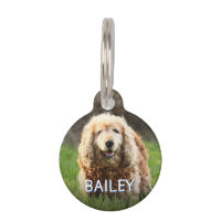 Beachy Monogram Name Address Pet ID Tag