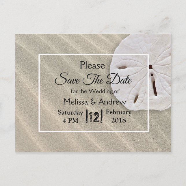 Beachy Sand Dollar Themed Wedding Save the Date Ankündigungspostkarte (Vorderseite)