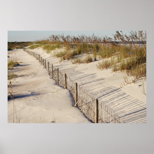 Beachzaun Poster (Vorne)