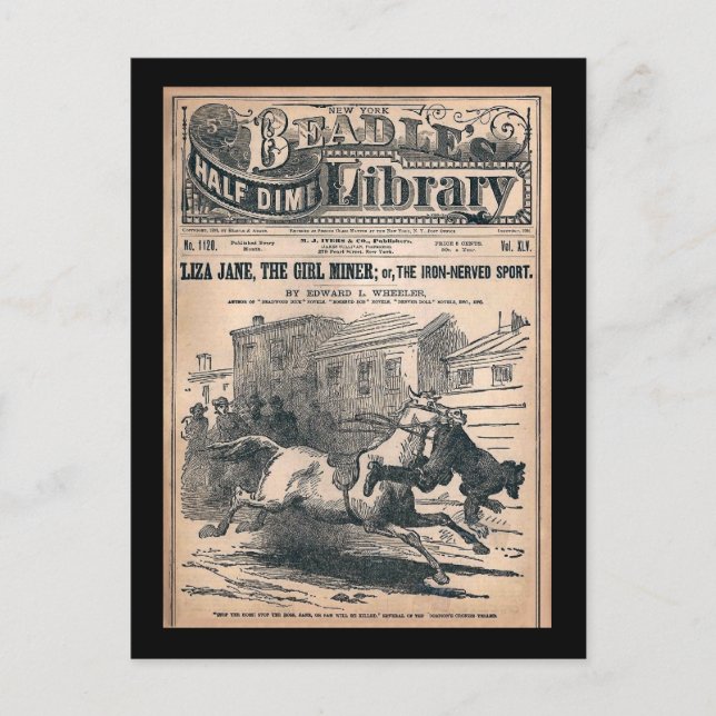 Beadles Half Dime Library No. 1120 1901 Postkarte (Vorderseite)