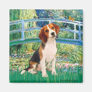 Beagle1 - Brücke Magnet