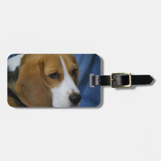 beagle-31.jpg gepäckanhänger