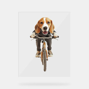 Beagle acrylschild