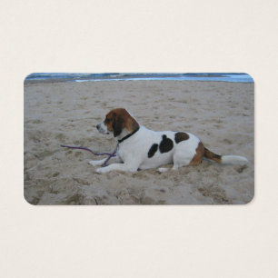 Beagle am Strand.png