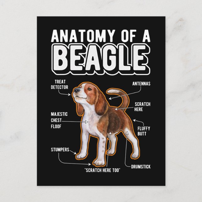 Beagle Anatomy Funny Dog Postkarte (Vorderseite)