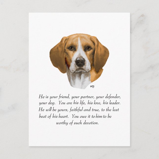 Beagle-Andenken MÄNNLICH Postkarte (Vorderseite)