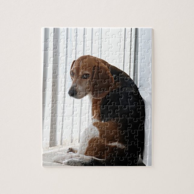 Beagle attutide puzzle (Vertikal)