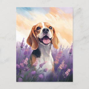 Beagle auf dem Lavendelfeld Postkarte