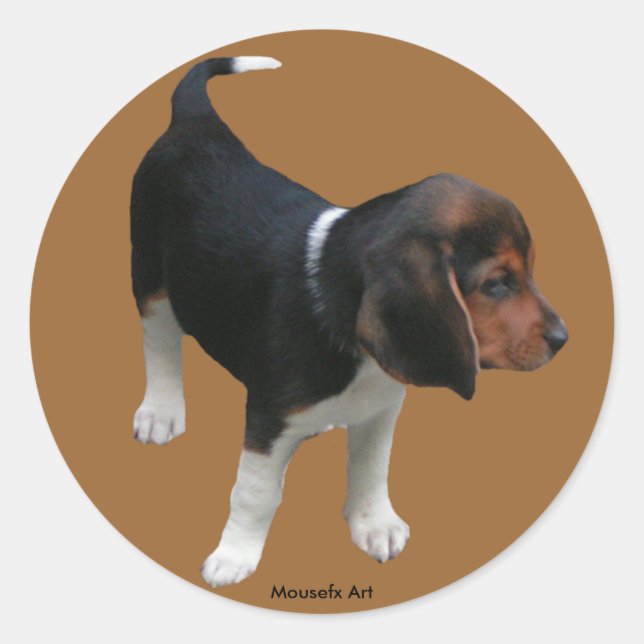 Beagle-Aufkleber Runder Aufkleber (Vorderseite)