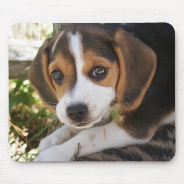 Beagle-Baby-Hund Mousepad (Vorne)