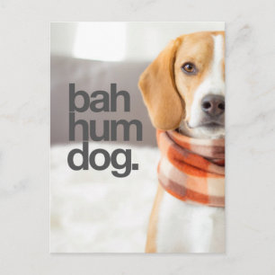 Beagle "Bah Hum Dog" Postkarte