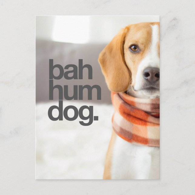 Beagle "Bah Hum Dog" Postkarte (Vorderseite)