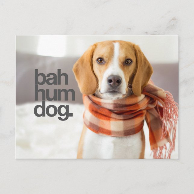 Beagle "Bah Hum Dog" Postkarte (Vorderseite)