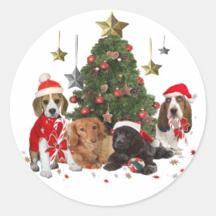 Beagle, Basset, Cocker Weihnachten Runder Aufkleber