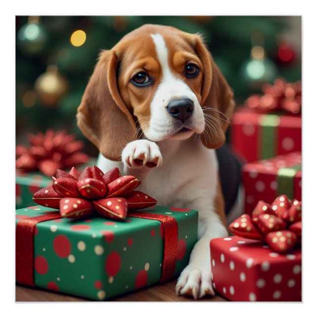 Beagle beim Einpacken von Weihnachtsgeschenken Mal Poster (Vorderseite)