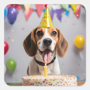 Beagle Birthday Party Quadratischer Aufkleber