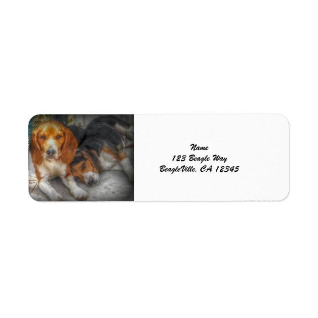 Beagle Brothers (Vorne)