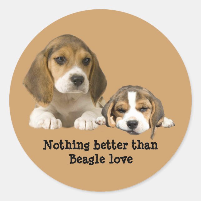 Beagle Buddies Sticker (Vorderseite)
