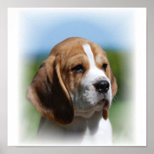 Beagle Canvas Print Poster