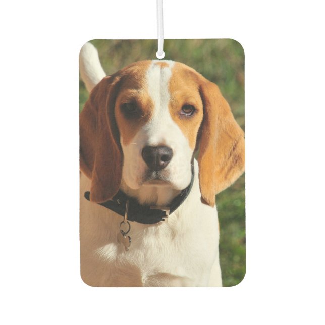 Beagle Car Air Freshener Autolufterfrischer (Vorderseite)