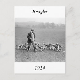 Beagle Club, 1914 Postkarte