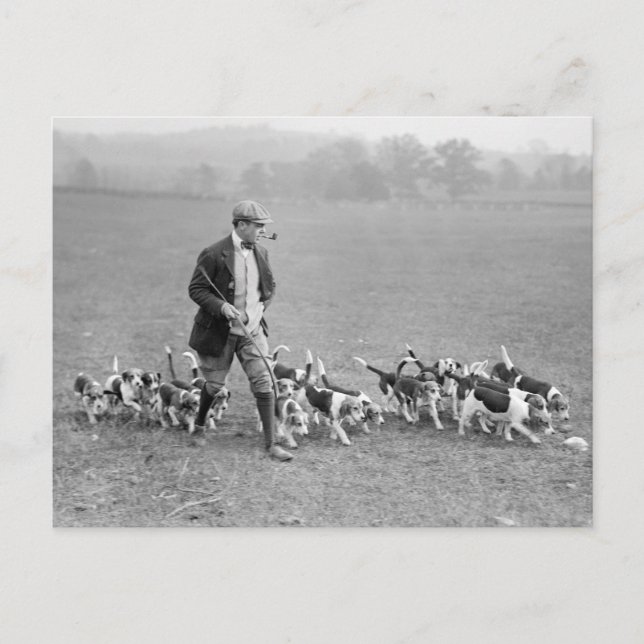 Beagle Club, 1914 Postkarte (Vorderseite)