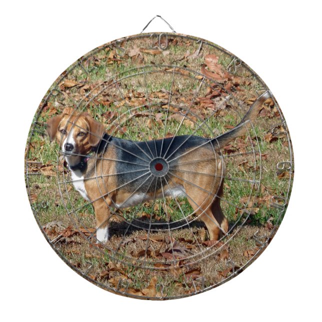 Beagle Dartscheibe (vorne)