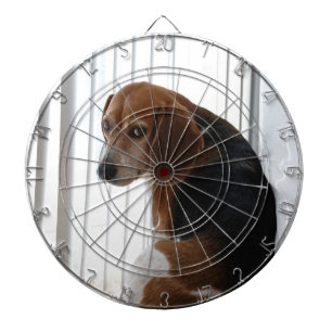 Beagle Dartscheibe
