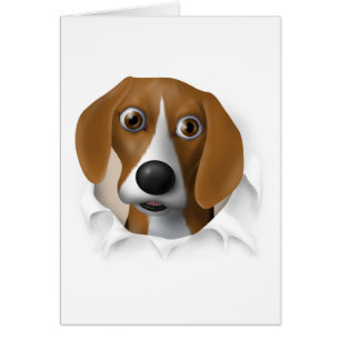 Beagle, der heraus sprengt