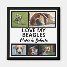 Beagle Dog Besitzer und stolze Welpen Dog Collage