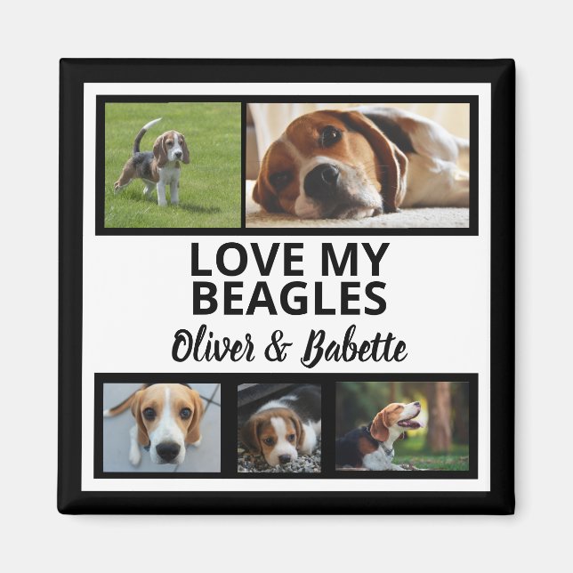 Beagle Dog Besitzer und stolze Welpen Dog Collage Magnet (Vorne)