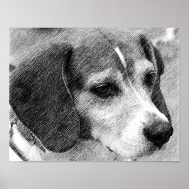 Beagle Dog Face Pencil Art #2 Poster (Vorne)