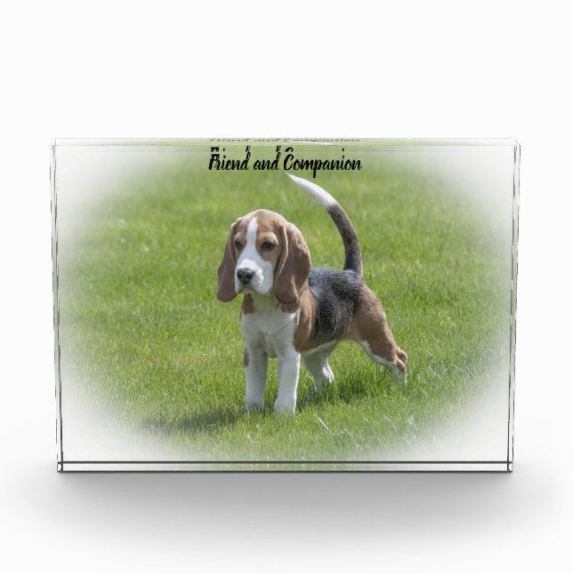 Beagle Dog Fotoblock (Vorderseite)