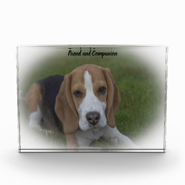 Beagle Dog Fotoblock (Vorderseite)