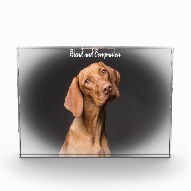 Beagle Dog Fotoblock (Vorderseite)