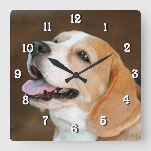 Beagle Dog Quadratische Wanduhr (Vorderseite)