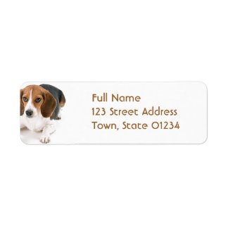 Beagle Dog Rücksendeadresse Mailing Label