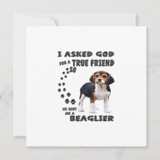 Beagle Dovers Lovers / Funny Beagle
