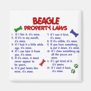 BEAGLE-Eigenschaftengesetze 2 Magnet