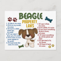 Beagle-Eigenschaftengesetze 4
