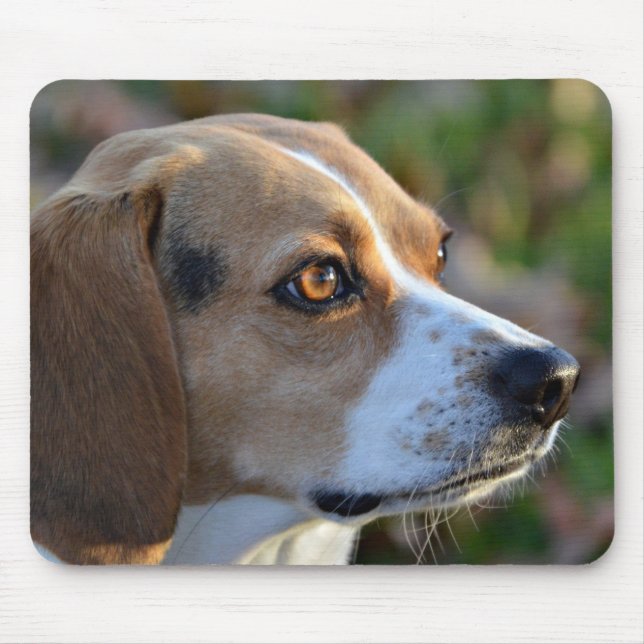 Beagle-Entschlossenheit Mousepad (Vorne)