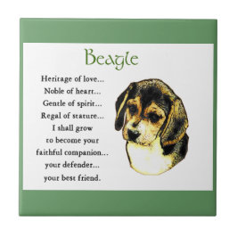 Beagle Erbe der Liebe Fliese