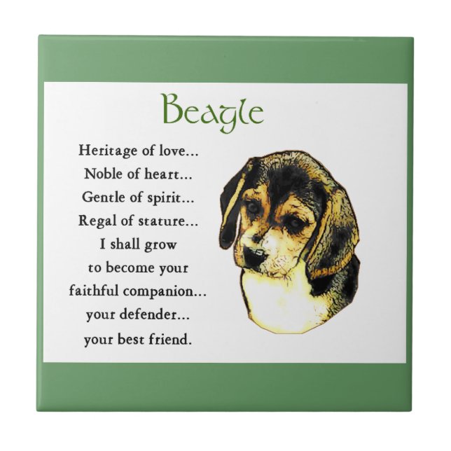 Beagle Erbe der Liebe Fliese (Vorderseite)