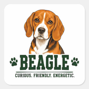 🐾 Beagle-Fan-Schild 🐾 Quadratischer Aufkleber