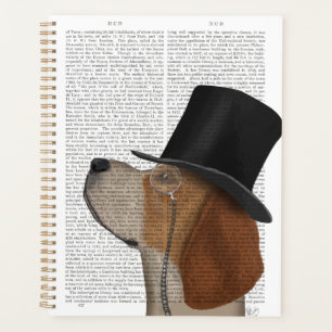 Beagle, Festhund und Hut Planer