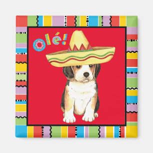 Beagle Fiesta Magnet
