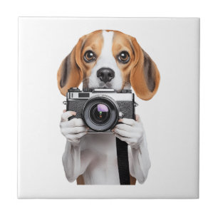 Beagle Fliese