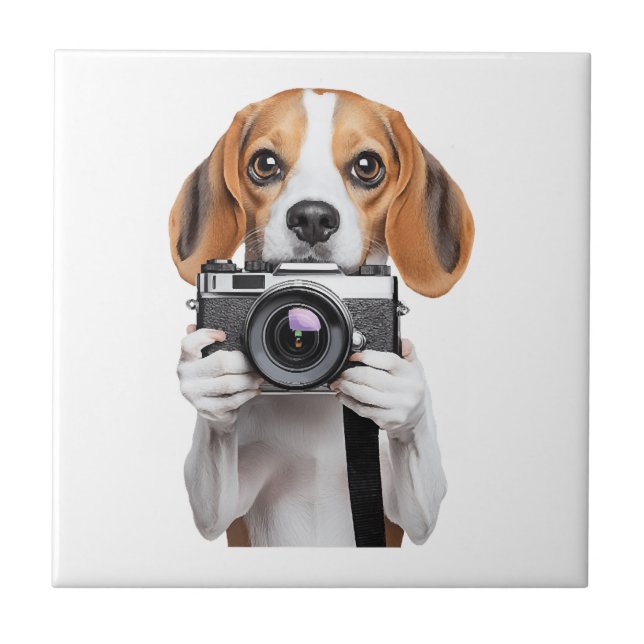 Beagle Fliese (Vorderseite)