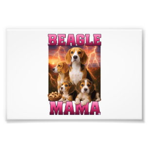 Beagle fotodruck